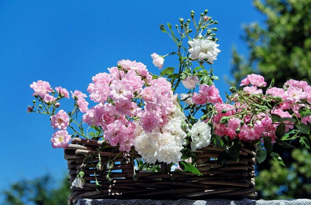 Fresh floral arrangement