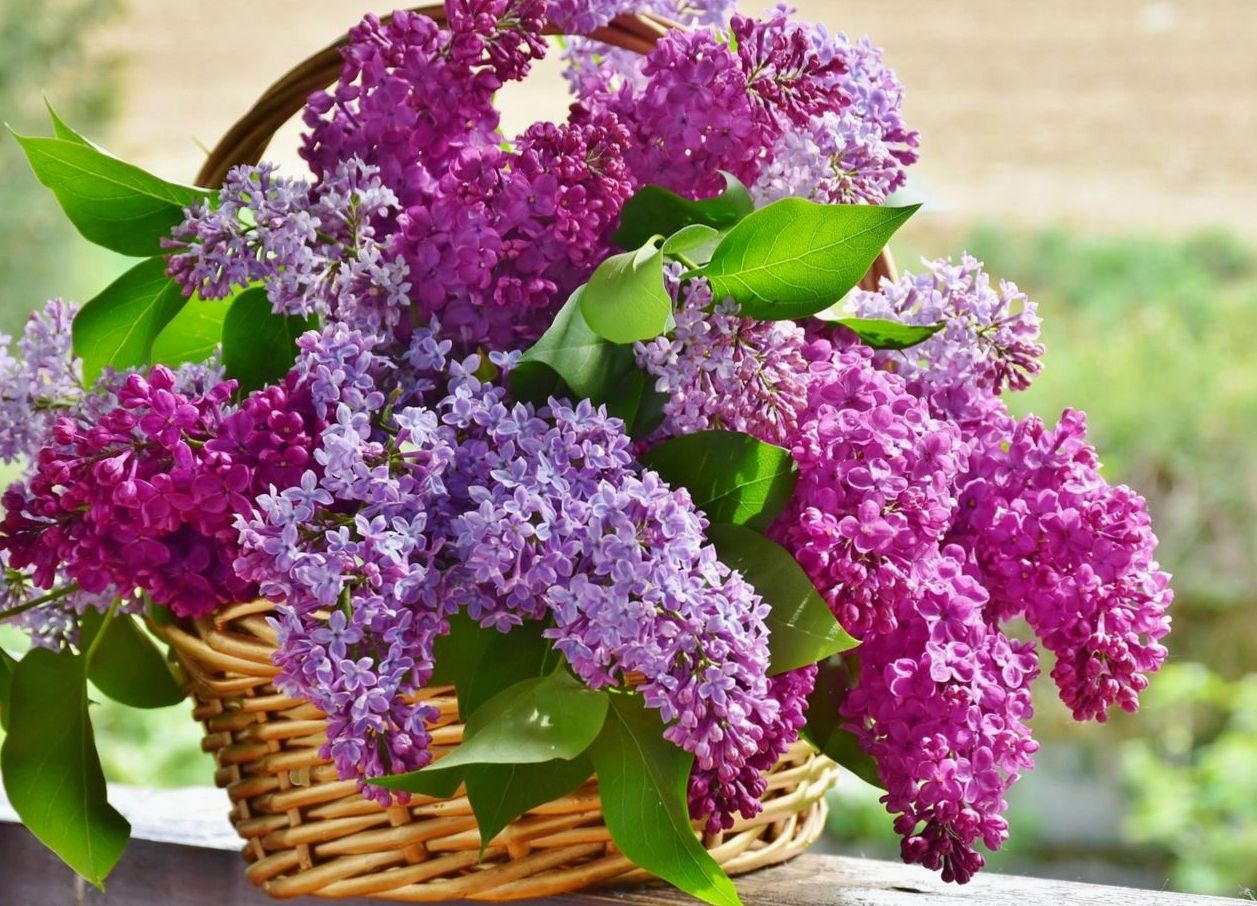 Artistic floral design